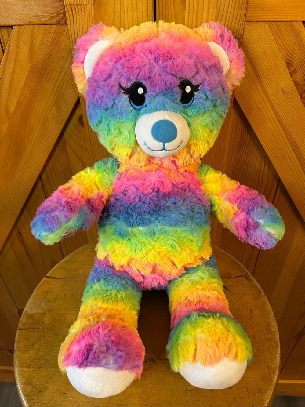 Build a bear Rainbow Party Teddy Bear (0415)